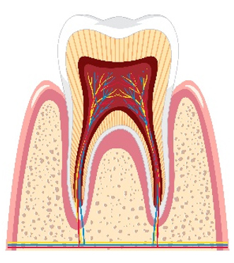 periodiki-therapeia